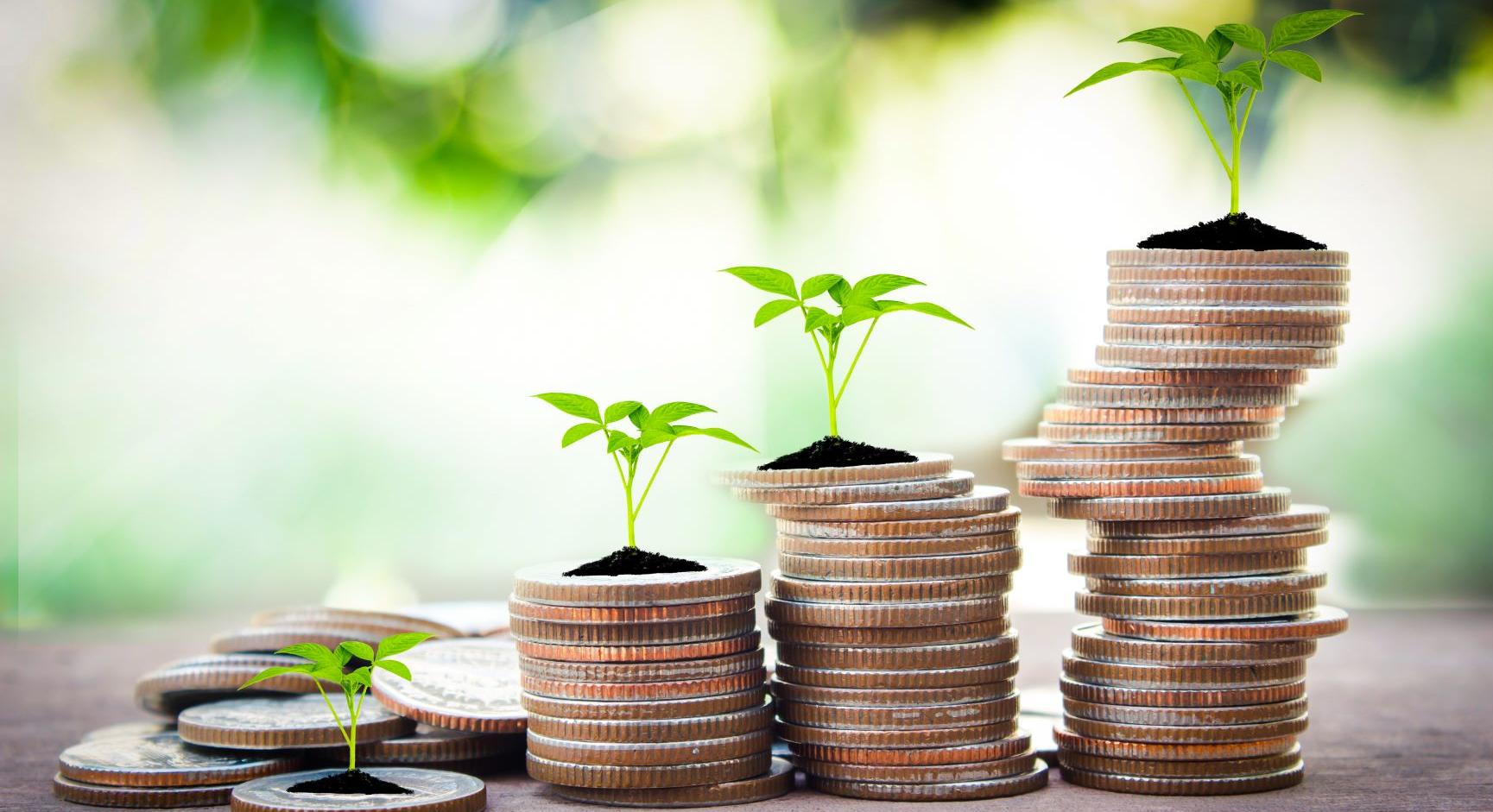 Personal Savings PrinsBank